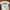 Hanes Y2K Casual T-shirt Pria White