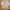 Timberland Casual Sweatshirt Pria gray photo 1