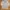 Timberland Casual Sweatshirt Pria Gray