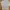 Timberland Casual Sweatshirt Pria gray photo 3