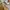 Timberland Casual Sweatshirt Pria gray photo 4