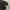 Adidas Y2K Gorpcore Puffer jacket Pria black photo 6