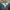 Streetwear Casual pants Pria multicolor photo 2