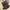 Japanese brand Emo Minimalist Kids black gray photo 3