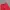 Rip Curl Streetwear Sportswear Short Pria red photo 3