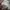 Streetwear Sportswear Sweater Pria gray photo 5