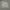 Streetwear Sportswear Sweater Pria gray photo 1