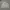 Streetwear Sportswear Sweater Pria Gray
