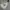 Streetwear Sportswear Sweater Pria gray photo 4