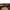 Stussy Streetwear Y2K Hat Pria brown cream photo 7