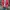 Vintage Casual Harrington jacket Pria red photo 8
