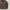 Dickies Vintage Streetwear Harrington jacket Pria brown photo 2