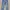 H&M Streetwear Casual Ripped Jeans Wanita Navy Blue