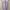 Casual Muslim Wanita purple photo 1