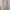 Casual Muslim Wanita purple photo 2