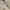 Mango Vintage Y2K Mini skirt Wanita cream photo 6