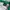 Casual Windbreaker Pria white green photo 4