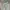 Avant Garde Minimalist Formal pants Pria green photo 1