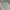 Avant Garde Minimalist Formal Pants Pria Green
