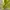 Lululemon Sportswear Shirt Wanita yellow photo 4