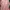 Casual Crop top Wanita pink photo 2