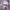 MLB Streetwear Sweatpants & Joggers Wanita purple photo 2