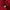 Dickies Sportswear Sweatshirt Pria red photo 4