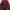 Dickies Sportswear Sweatshirt Pria red photo 5