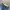 Chaps Lauren Vintage Jeans Pria navy blue photo 2