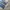 Chaps Lauren Vintage Jeans Pria navy blue photo 4