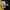 Carhartt Streetwear Sportswear Windbreaker Pria yellow photo 5