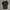 Y2K Avant Garde T-shirt Pria black photo 2