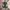 Adidas Indie Casual Sneakers Pria white green photo 3