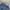 Vintage Short Pria blue photo 6