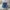 Vintage Short Pria blue photo 1