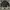 Uniqlo Streetwear Gorpcore Bomber jacket Pria black photo 1