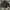 Uniqlo Streetwear Gorpcore Bomber Jacket Pria Black