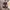 Adidas Indie Casual Sneakers Pria white brown photo 3