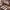 Adidas Indie Casual Sneakers Pria white brown photo 2