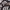 Adidas Gorpcore Indie Sneakers Pria white black photo 2