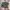 Adidas Indie Casual Sneakers Pria burgundy green photo 1