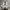 New Balance Streetwear Y2K Sneakers Wanita white photo 4