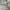 Vintage Y2K Short Pria gray photo 4