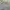 Vintage Y2K Short Pria gray photo 6