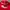 Streetwear Casual Hat Pria red photo 3