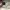 Feltics Casual Sweater Pria white photo 3