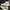 Nike Streetwear Luxury Sneakers Pria White
