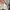 MLB Casual Sweater Pria gray photo 8