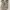 Nike Streetwear Sneakers Wanita gray photo 4