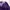 Sportswear Track jacket Wanita purple photo 6